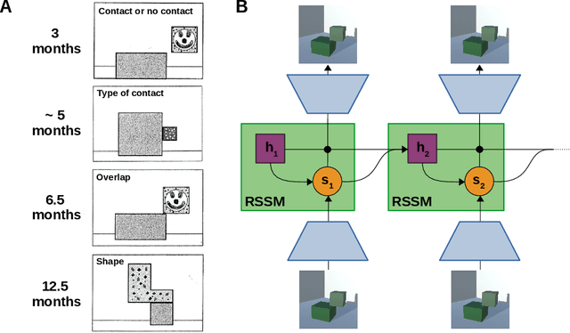 Figure 1 for Stochastic Gradient Descent Captures How Children Learn About Physics