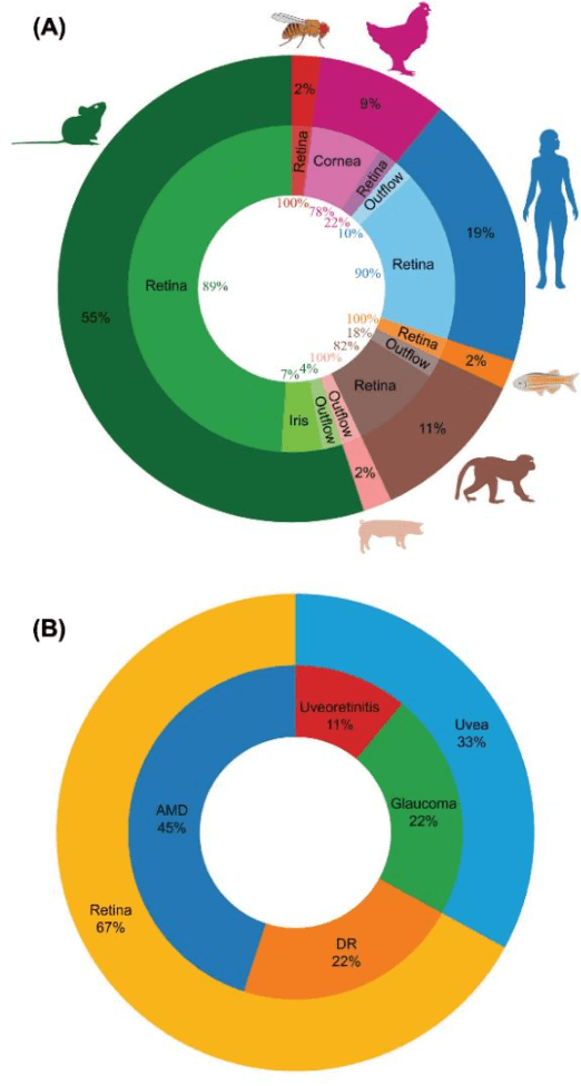 Figure 4 for Artificial Intelligence Models for Cell Type and Subtype Identification Based on Single-Cell RNA Sequencing Data in Vision Science