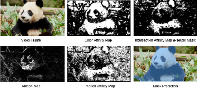 Figure 1 for Box Supervised Video Segmentation Proposal Network