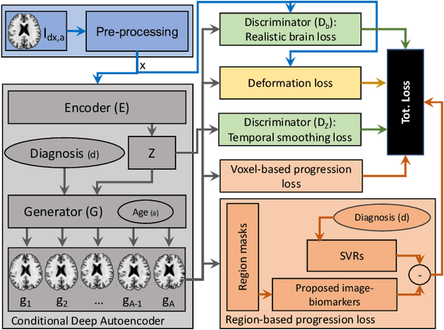 Figure 1 for Degenerative Adversarial NeuroImage Nets: Generating Images that Mimic Disease Progression