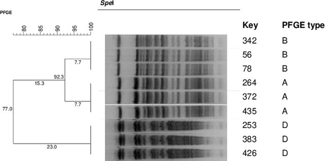 Figure 3 for Classifying bacteria clones using attention-based deep multiple instance learning interpreted by persistence homology