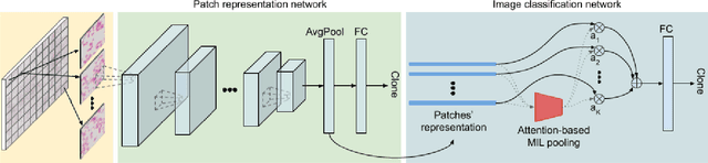 Figure 4 for Classifying bacteria clones using attention-based deep multiple instance learning interpreted by persistence homology