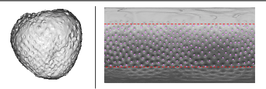 Figure 1 for Gaussian map predictions for 3D surface feature localisation and counting