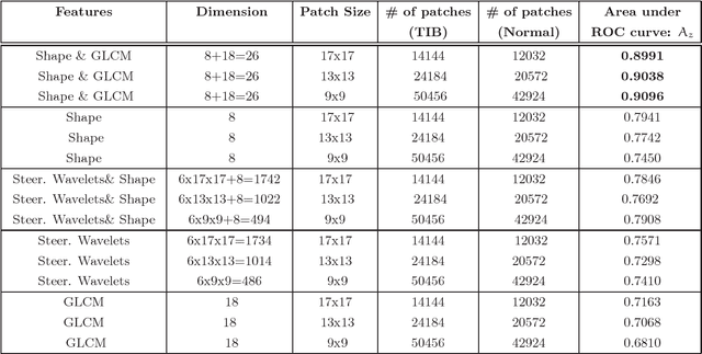 Figure 2 for Learning Shape and Texture Characteristics of CT Tree-in-Bud Opacities for CAD Systems