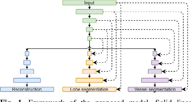 Figure 1 for Multi-task Semi-supervised Learning for Pulmonary Lobe Segmentation