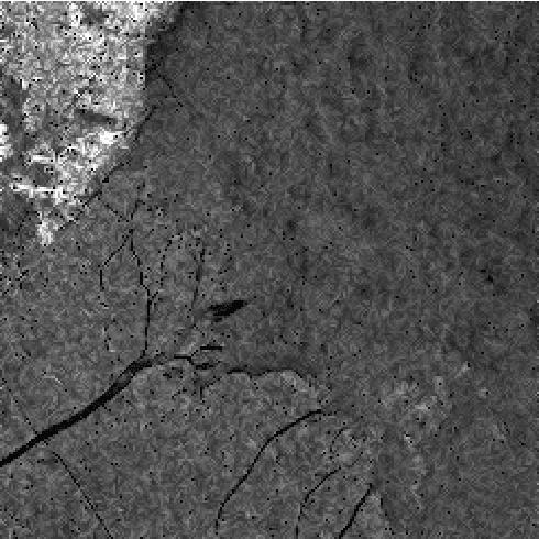 Figure 1 for Kalman's shrinkage for wavelet-based despeckling of SAR images