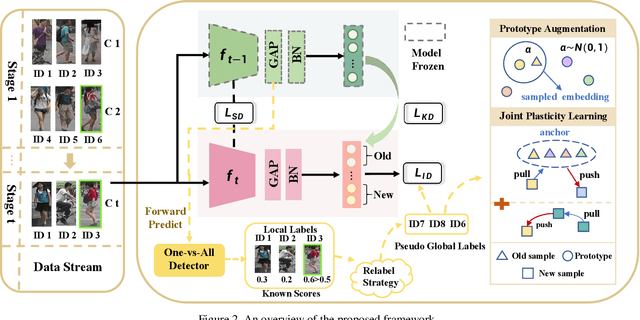 Figure 3 for Joint Plasticity Learning for Camera Incremental Person Re-Identification