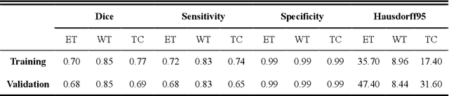 Figure 2 for 3D AGSE-VNet: An Automatic Brain Tumor MRI Data Segmentation Framework