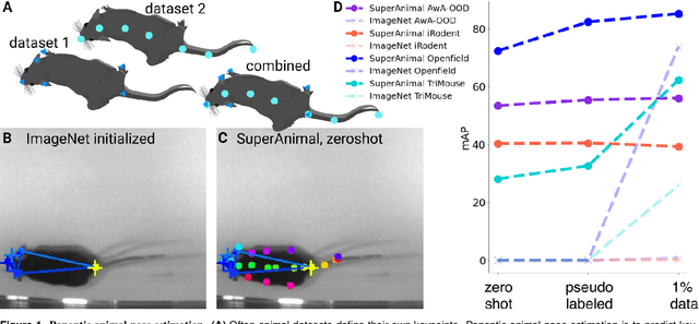 Figure 1 for Panoptic animal pose estimators are zero-shot performers