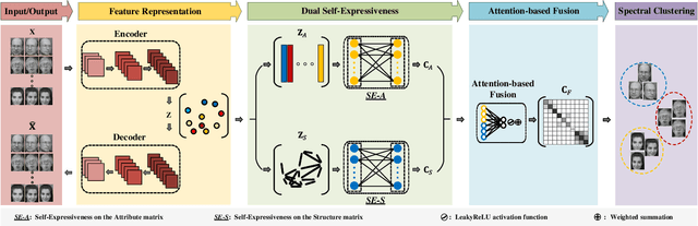 Figure 2 for Adaptive Attribute and Structure Subspace Clustering Network