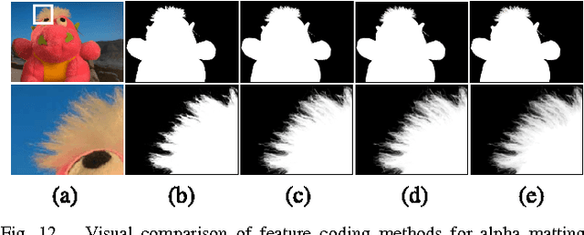 Figure 4 for Sparse Coding for Alpha Matting