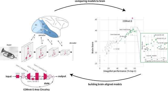 Figure 1 for Brain-Like Object Recognition with High-Performing Shallow Recurrent ANNs