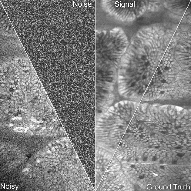 Figure 1 for WhiteNNer-Blind Image Denoising via Noise Whiteness Priors