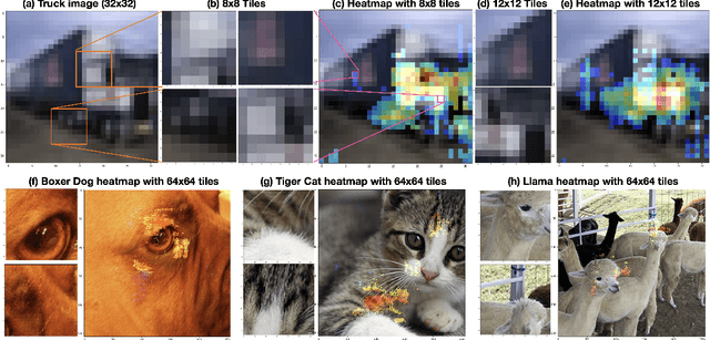 Figure 1 for CNNs are Myopic