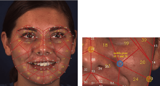 Figure 3 for AU R-CNN: Encoding Expert Prior Knowledge into R-CNN for Action Unit Detection