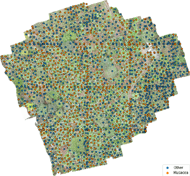 Figure 4 for Tackling the Overestimation of Forest Carbon with Deep Learning and Aerial Imagery