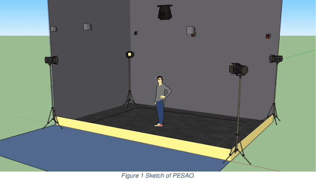 Figure 1 for PESAO: Psychophysical Experimental Setup for Active Observers