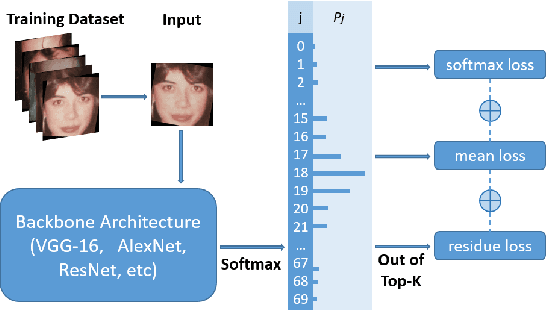 Figure 1 for Adaptive Mean-Residue Loss for Robust Facial Age Estimation