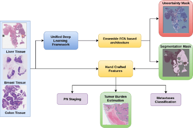 Figure 2 for A Generalized Deep Learning Framework for Whole-Slide Image Segmentation and Analysis