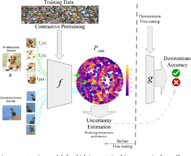 Figure 1 for Uncertainty in Contrastive Learning: On the Predictability of Downstream Performance