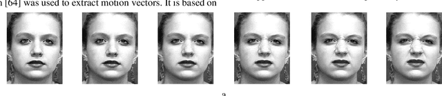 Figure 3 for What happens in Face during a facial expression? Using data mining techniques to analyze facial expression motion vectors