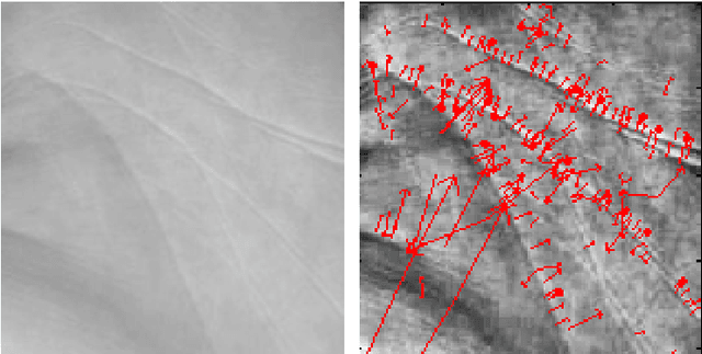Figure 3 for Feature Level Fusion of Face and Palmprint Biometrics by Isomorphic Graph-based Improved K-Medoids Partitioning
