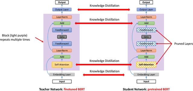 Figure 4 for Rethinking Network Pruning -- under the Pre-train and Fine-tune Paradigm