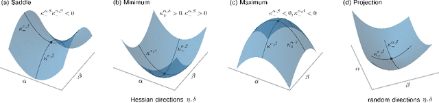 Figure 1 for Visualizing high-dimensional loss landscapes with Hessian directions