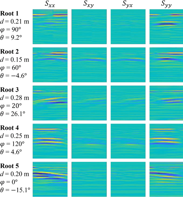 Figure 2 for Estimating Parameters of the Tree Root in Heterogeneous Soil Environments via Mask-Guided Multi-Polarimetric Integration Neural Network