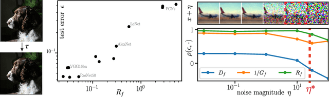 Figure 1 for How deep convolutional neural networks lose spatial information with training