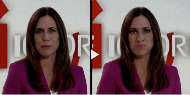 Figure 1 for Challenges and Solutions in DeepFakes