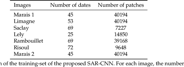 Figure 2 for SAR Image Despeckling by Deep Neural Networks: from a pre-trained model to an end-to-end training strategy