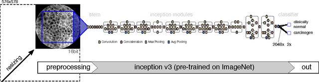 Figure 4 for Automatic Classification of Cancerous Tissue in Laserendomicroscopy Images of the Oral Cavity using Deep Learning