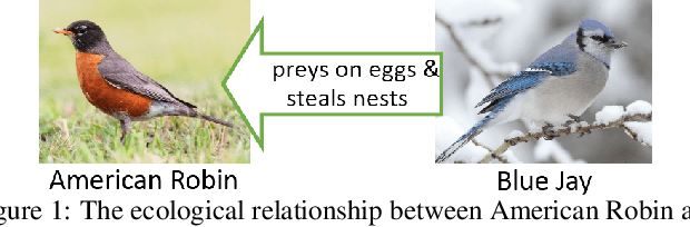 Figure 1 for Deep Multi-Species Embedding