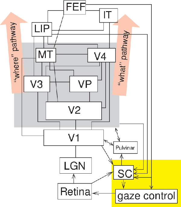 Figure 1 for AI-Based Detection, Classification and Prediction/Prognosis in Medical Imaging: Towards Radiophenomics