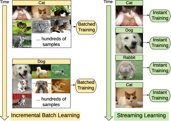 Figure 1 for REMIND Your Neural Network to Prevent Catastrophic Forgetting