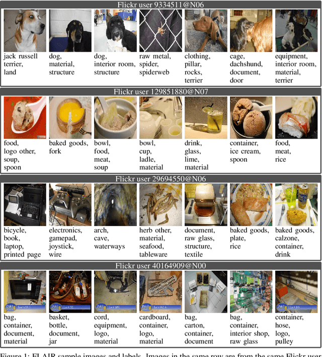 Figure 1 for FLAIR: Federated Learning Annotated Image Repository