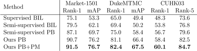 Figure 2 for Going Deeper into Semi-supervised Person Re-identification