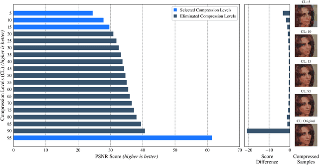 Figure 3 for Does lossy image compression affect racial bias within face recognition?