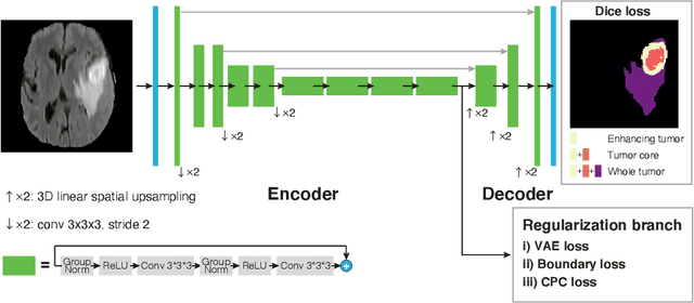 Figure 1 for Label-Efficient Multi-Task Segmentation using Contrastive Learning
