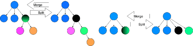 Figure 3 for Comparing Nonparametric Bayesian Tree Priors for Clonal Reconstruction of Tumors