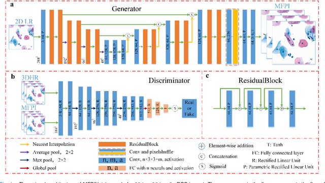 Figure 1 for Reconstruct high-resolution multi-focal plane images from a single 2D wide field image