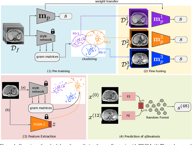 Figure 1 for Pseudo-domains in imaging data improve prediction of future disease status in multi-center studies