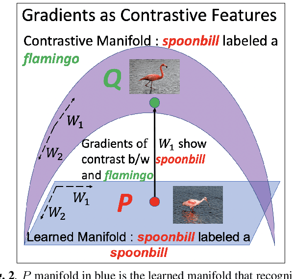 Figure 2 for Contrastive Explanations in Neural Networks