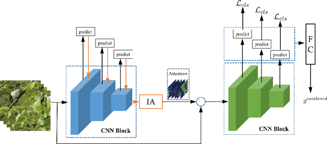 Figure 1 for Interpretable Attention Guided Network for Fine-grained Visual Classification