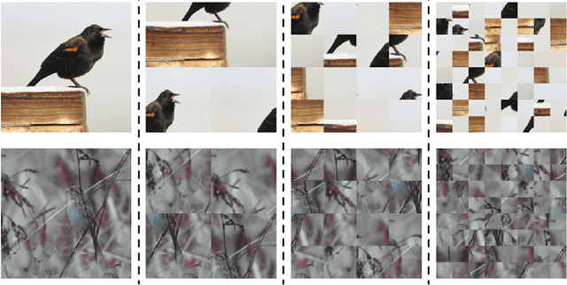 Figure 3 for Interpretable Attention Guided Network for Fine-grained Visual Classification