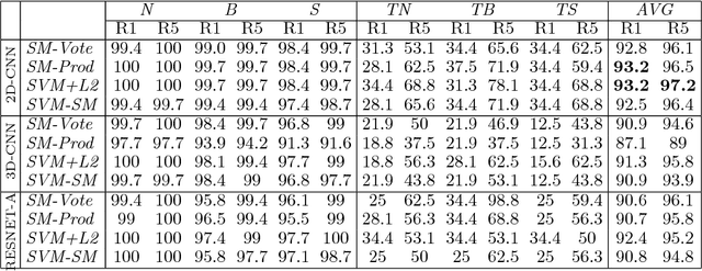 Figure 2 for Multimodal feature fusion for CNN-based gait recognition: an empirical comparison
