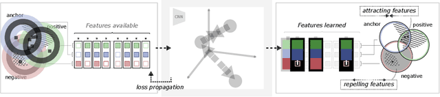 Figure 3 for Learning Representations with Contrastive Self-Supervised Learning for Histopathology Applications