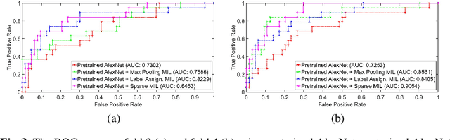 Figure 4 for Deep Multi-instance Networks with Sparse Label Assignment for Whole Mammogram Classification