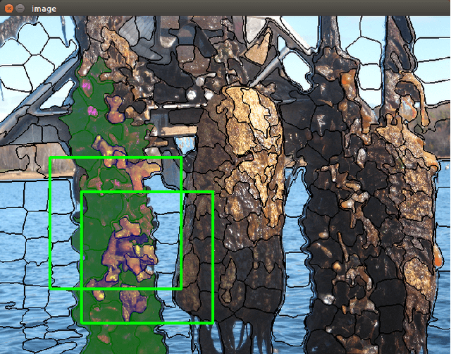 Figure 2 for The Ciona17 Dataset for Semantic Segmentation of Invasive Species in a Marine Aquaculture Environment